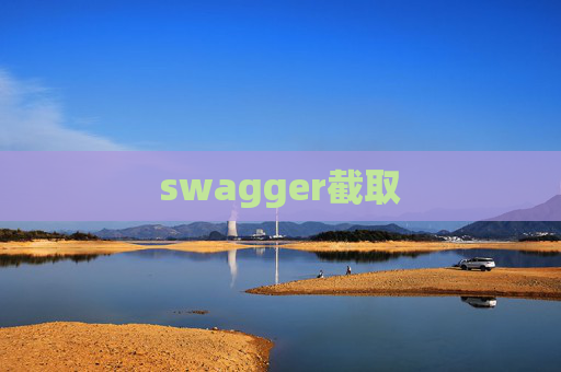 swagger截取